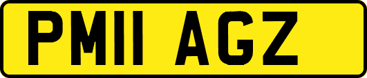 PM11AGZ