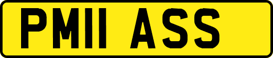 PM11ASS