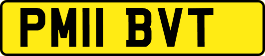 PM11BVT