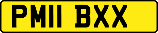 PM11BXX