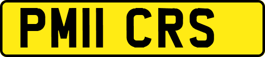 PM11CRS