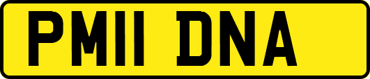 PM11DNA