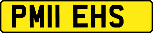 PM11EHS