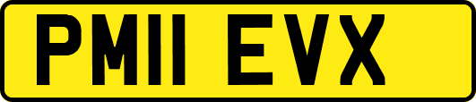 PM11EVX