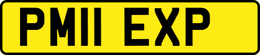 PM11EXP