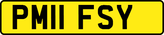 PM11FSY