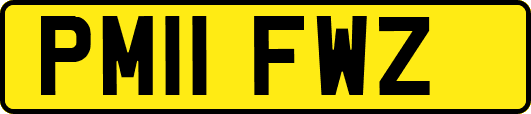 PM11FWZ