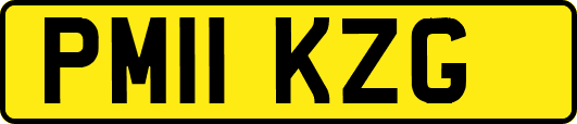 PM11KZG
