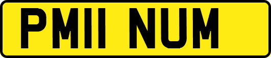 PM11NUM