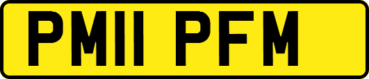 PM11PFM