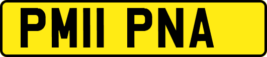 PM11PNA