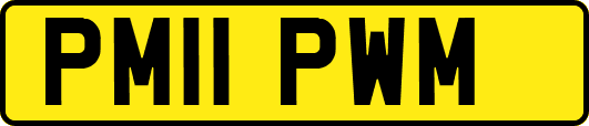 PM11PWM