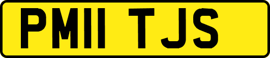 PM11TJS