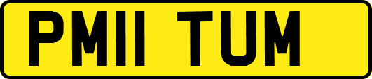 PM11TUM