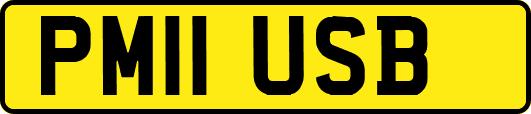 PM11USB