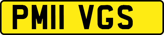 PM11VGS