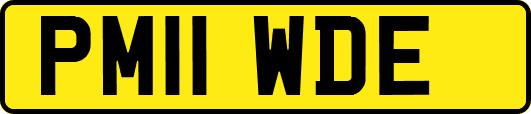 PM11WDE