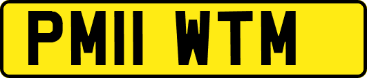 PM11WTM