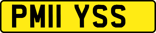 PM11YSS