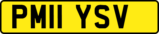 PM11YSV