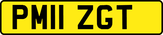 PM11ZGT