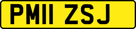 PM11ZSJ
