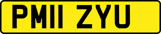 PM11ZYU
