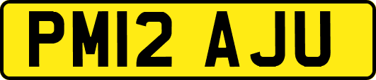 PM12AJU