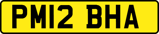 PM12BHA