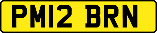 PM12BRN