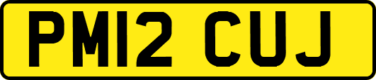 PM12CUJ