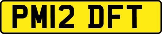 PM12DFT