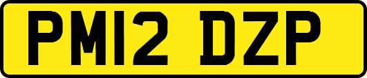 PM12DZP