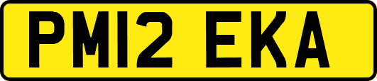 PM12EKA