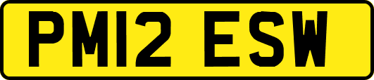 PM12ESW