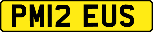 PM12EUS