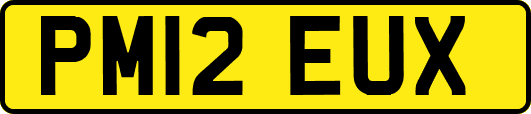 PM12EUX