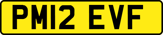 PM12EVF