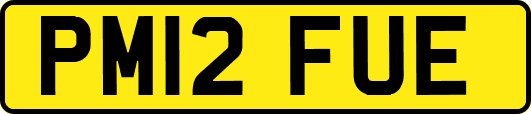 PM12FUE