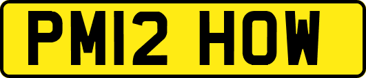 PM12HOW
