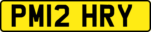 PM12HRY