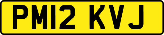 PM12KVJ