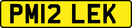 PM12LEK
