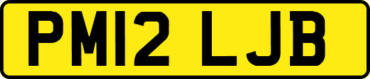 PM12LJB