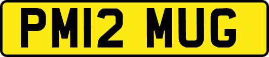 PM12MUG