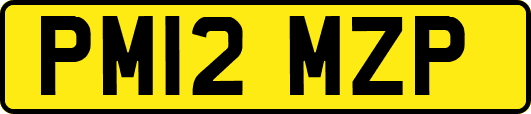 PM12MZP