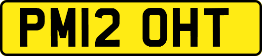 PM12OHT