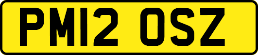 PM12OSZ