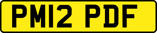 PM12PDF