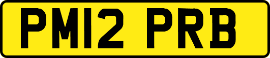 PM12PRB